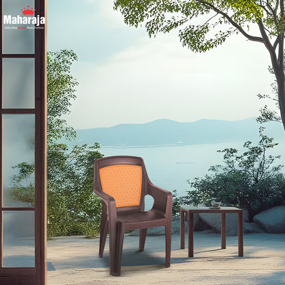 Safari114 Double Color Armrest Chair