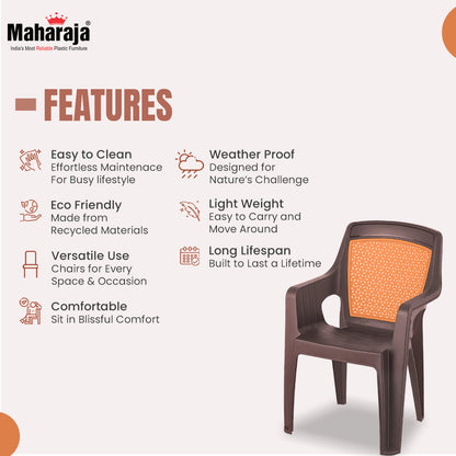 Safari114 Double Color Armrest Chair