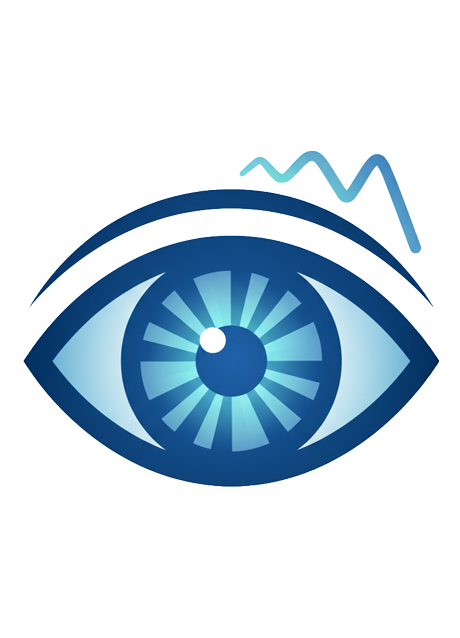 Maharaja_Vision